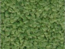 Fıstık Yeşil | Duvardan Duvara Halı | Samur
